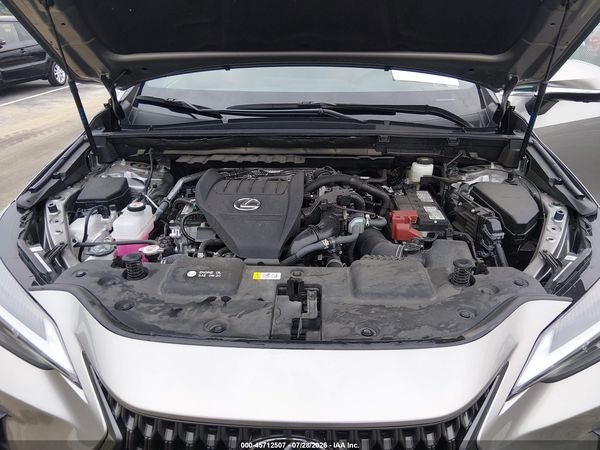 2025 LEXUS NX 350 PREMIUM