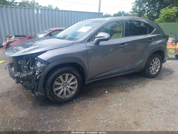 2019 LEXUS NX 300 300 Luxury