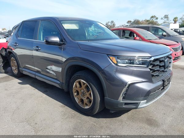 2024 HONDA PILOT EX-L