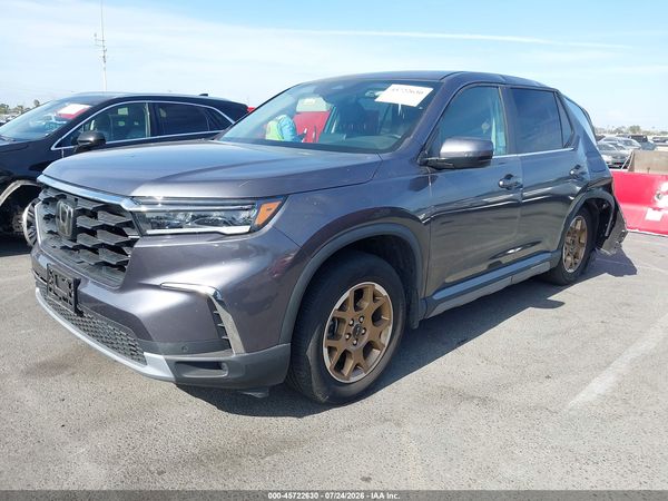 2024 HONDA PILOT EX-L