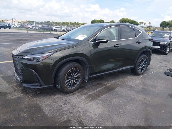 2025 LEXUS NX 250 — I2