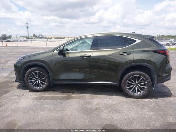2025 LEXUS NX 250 350 Base — I117