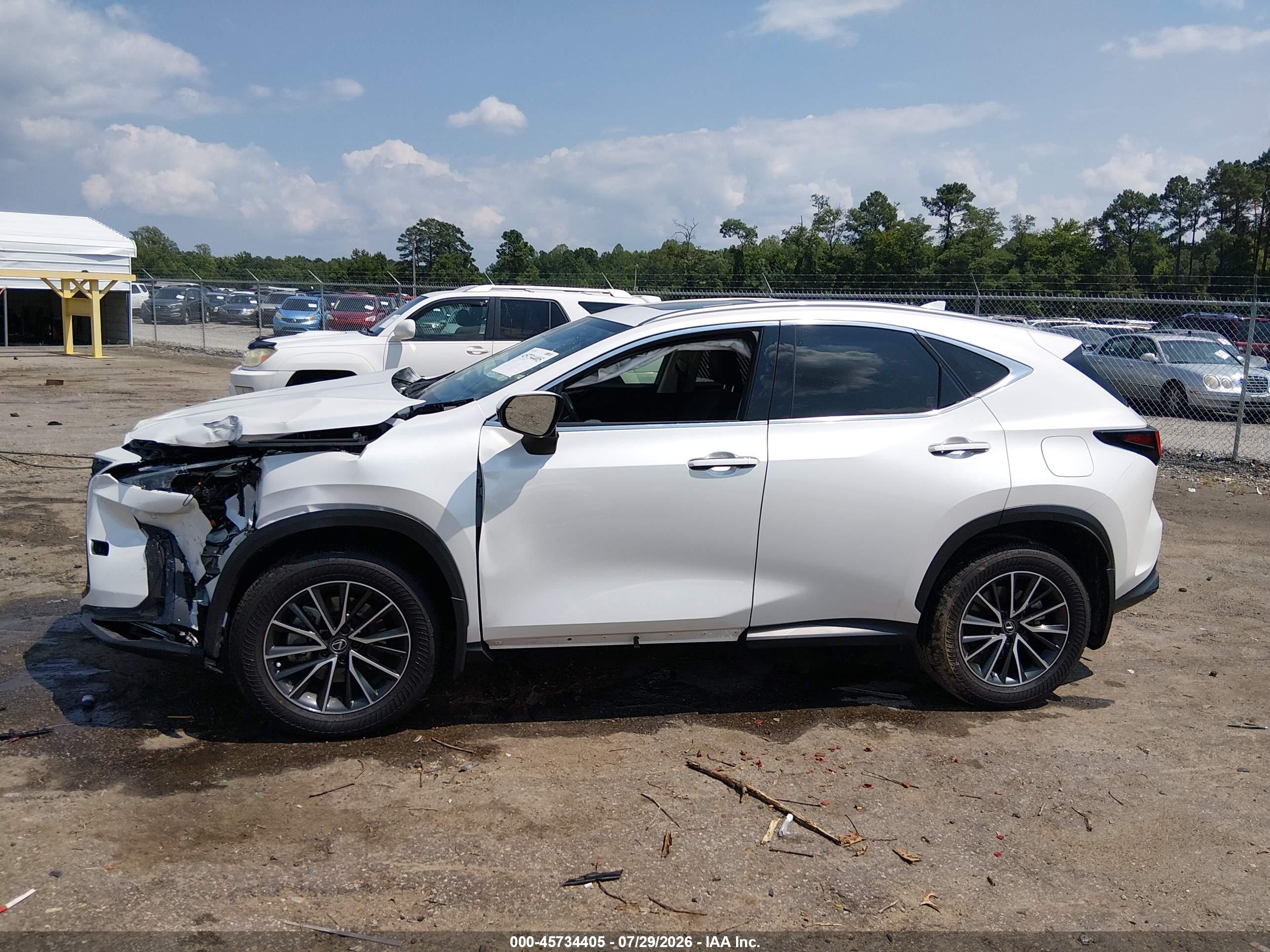 2024 LEXUS NX 250 PREMIUM