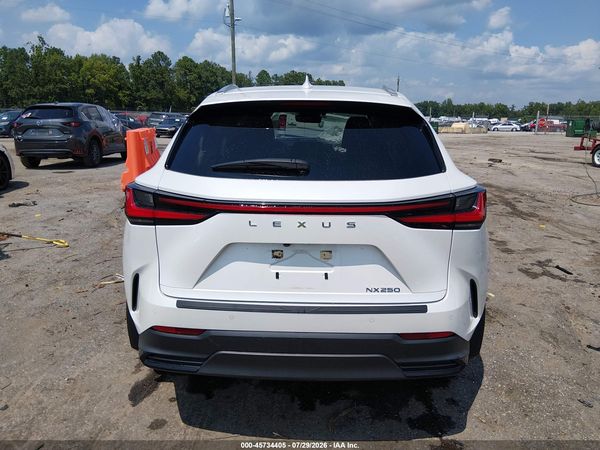 2024 LEXUS NX 250 PREMIUM