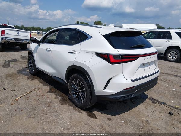 2024 LEXUS NX 250 PREMIUM