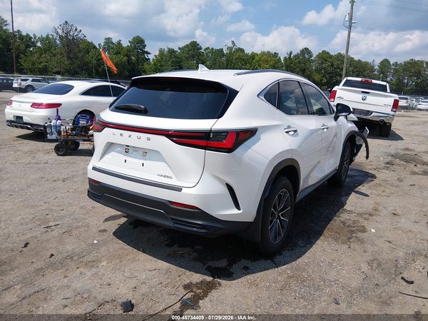 2024 LEXUS NX 250 PREMIUM
