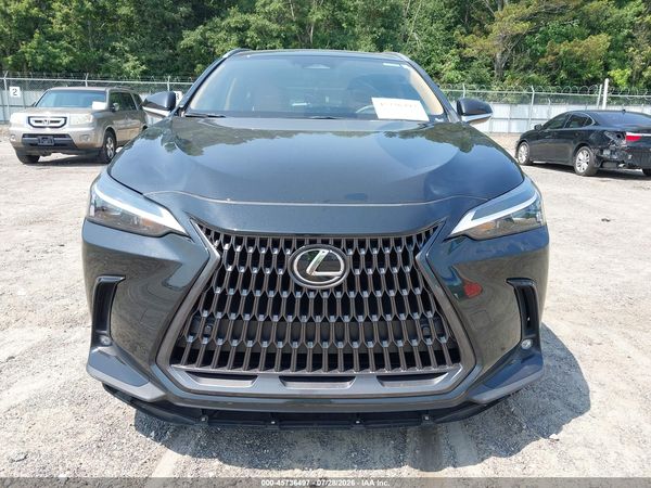 2024 LEXUS NX 350H PREMIUM