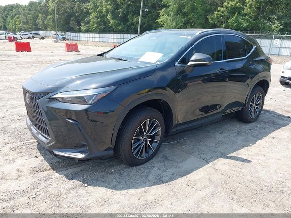 2024 LEXUS NX 350H PREMIUM