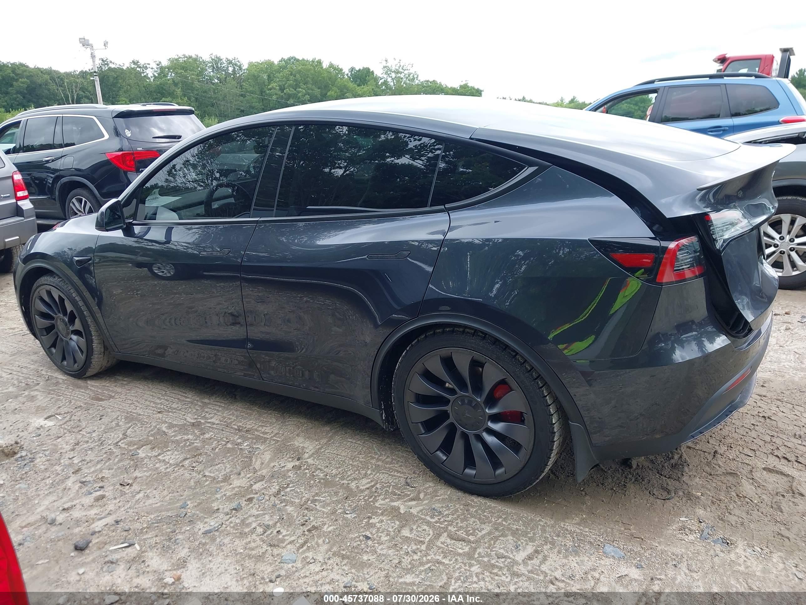2024 TESLA MODEL Y