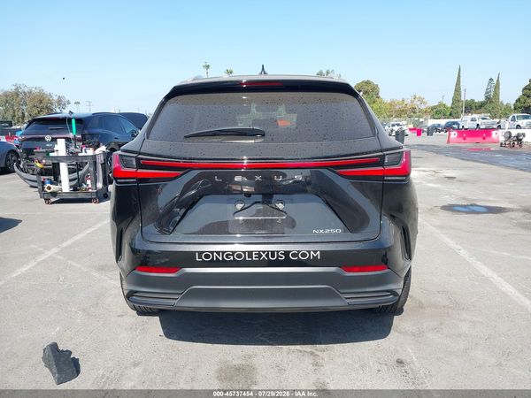 2025 LEXUS NX 250 350 Base