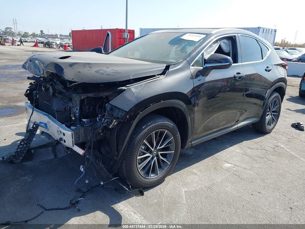 2025 LEXUS NX 250 350 Base