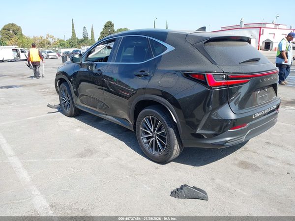 2025 LEXUS NX 250 350 Base