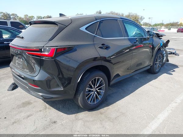 2025 LEXUS NX 250 350 Base