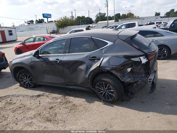 2024 LEXUS NX 250