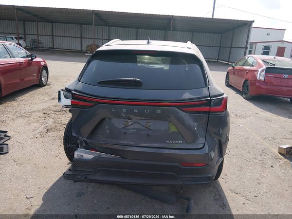2024 LEXUS NX 250 PREMIUM