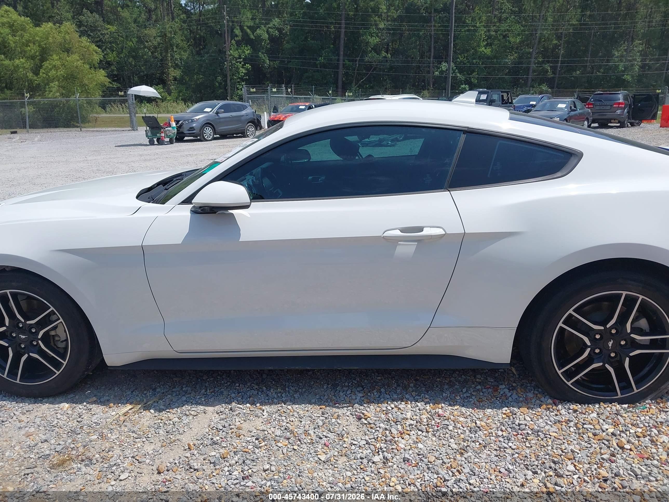 2023 FORD MUSTANG