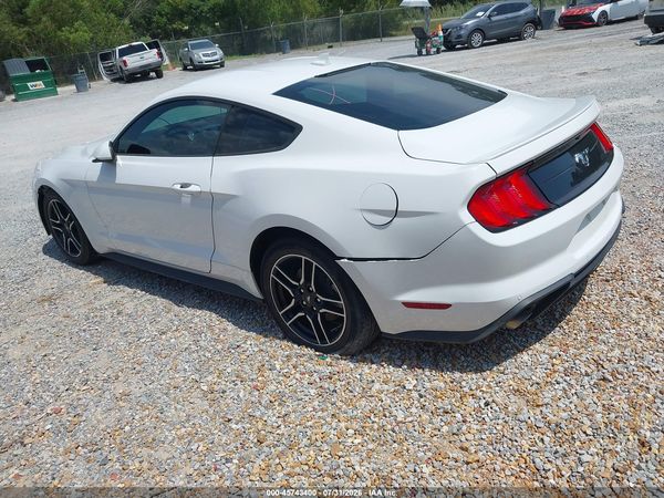 2023 FORD MUSTANG