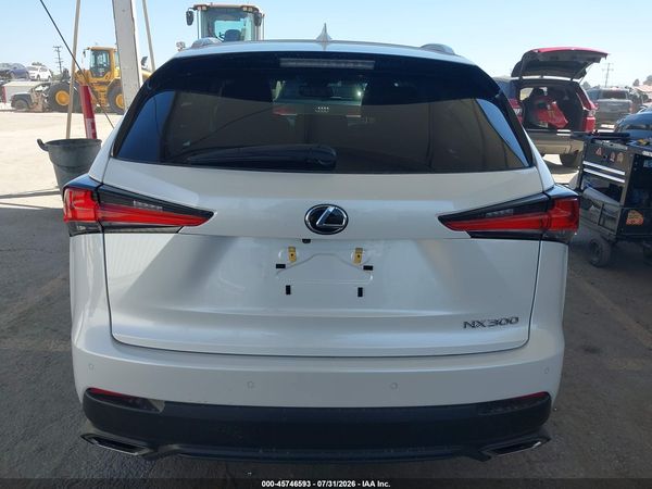 2019 LEXUS NX 300 300 Luxury