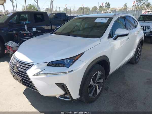 2019 LEXUS NX 300 300 Luxury