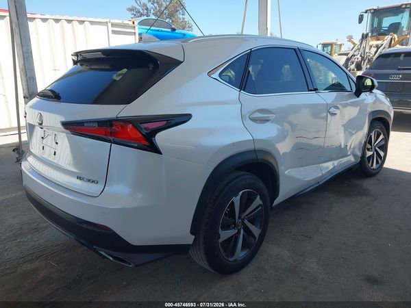 2019 LEXUS NX 300 300 Luxury