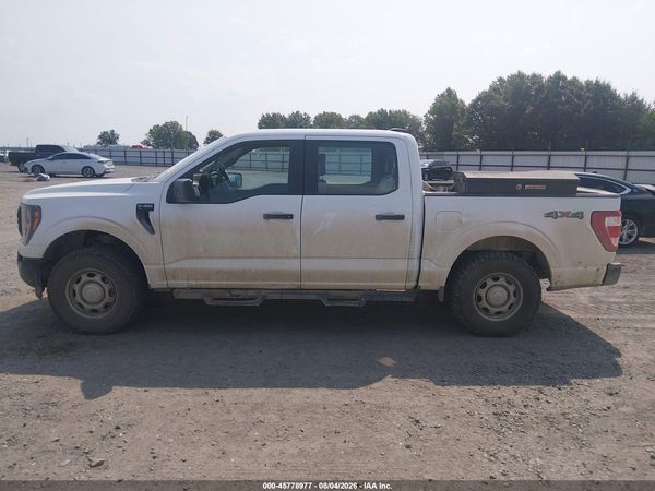 2023 FORD F-150 XL