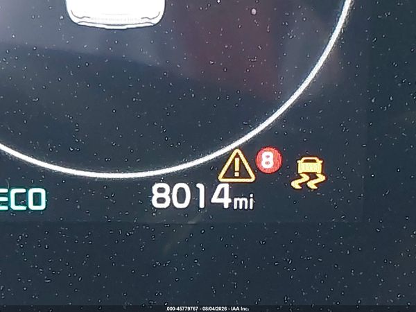 2025 KIA NIRO EV WAVE