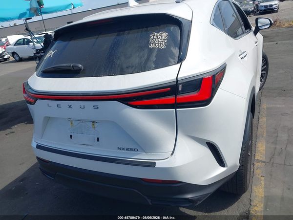 2024 LEXUS NX 250 250 Base
