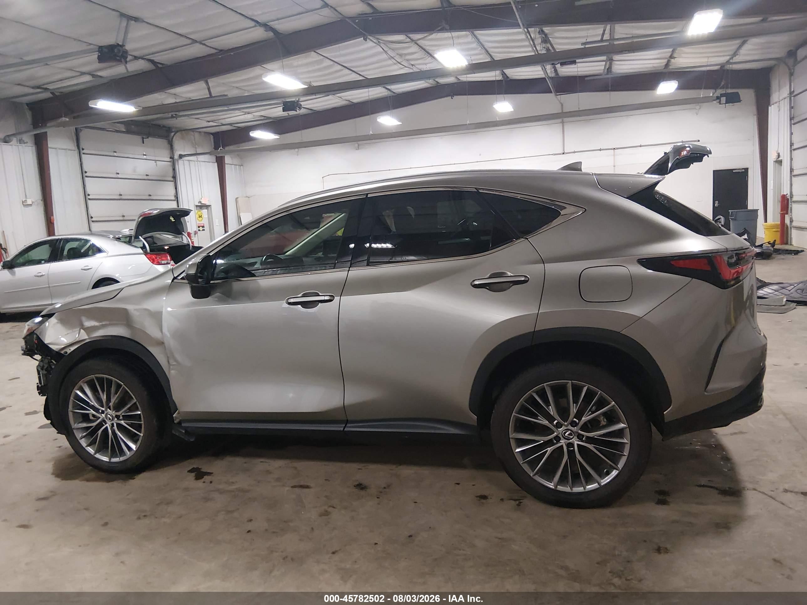 2024 LEXUS NX 350 LUXURY