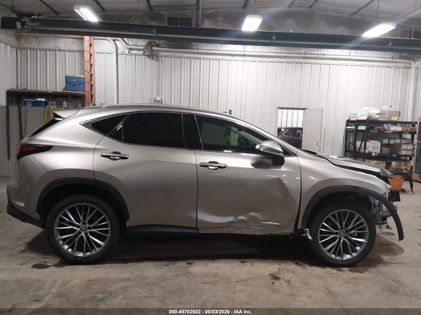 2024 LEXUS NX 350 LUXURY