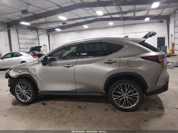 2024 LEXUS NX 350 LUXURY