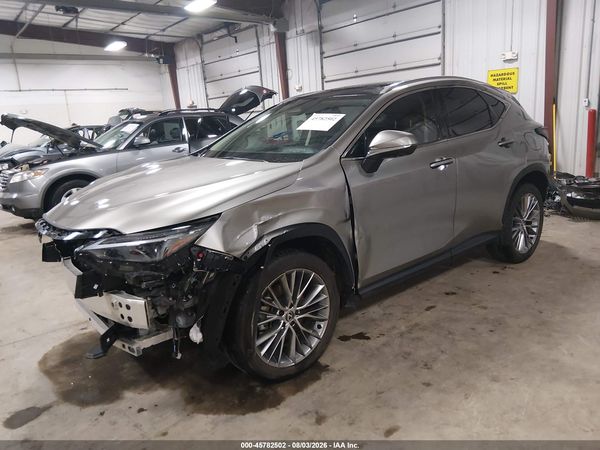 2024 LEXUS NX 350 LUXURY