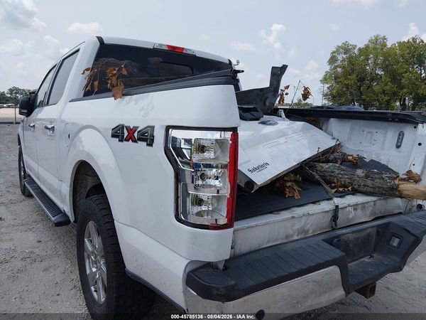 2019 FORD F-150 XLT