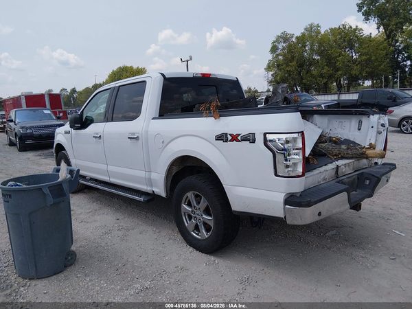 2019 FORD F-150 XLT