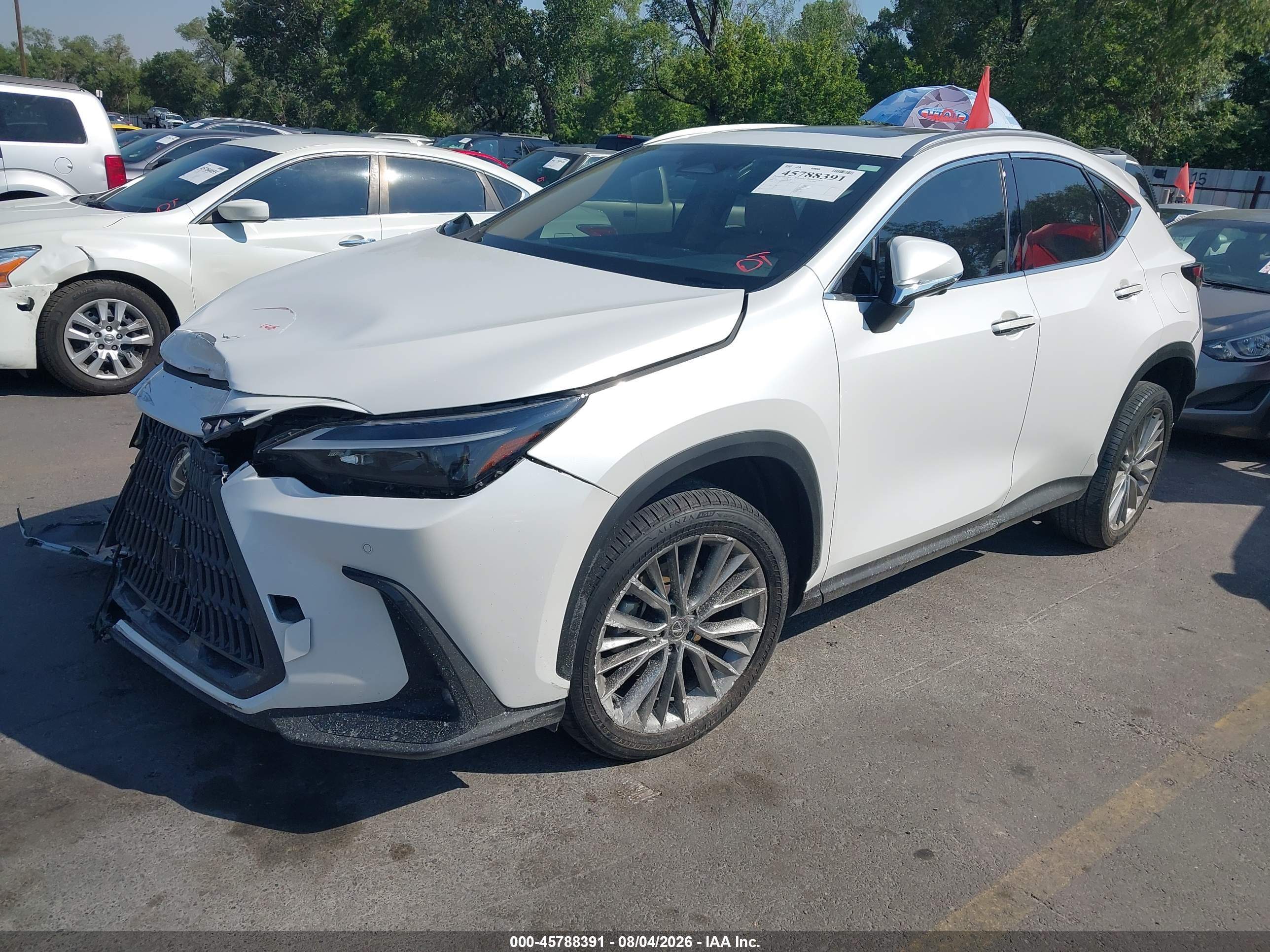 2025 LEXUS NX 350 PREMIUM — I2