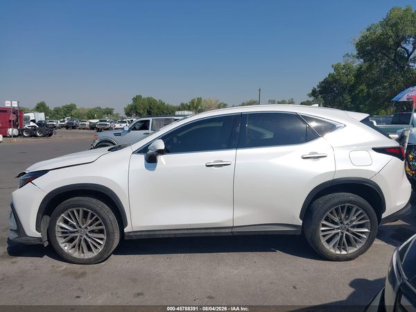 2025 LEXUS NX 350 PREMIUM — I117