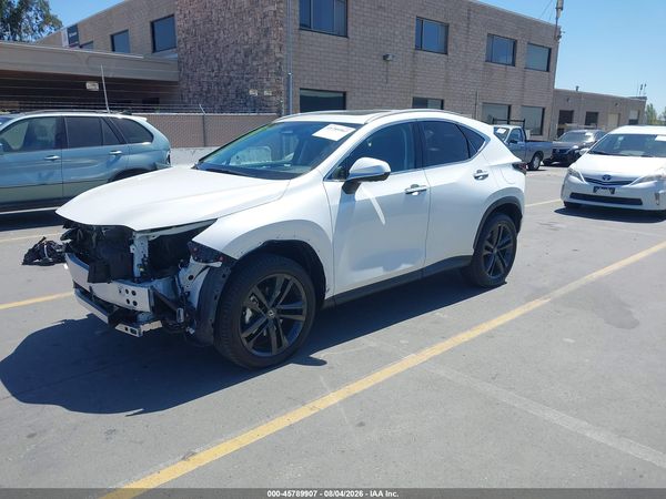 2024 LEXUS NX 450H+ LUXURY