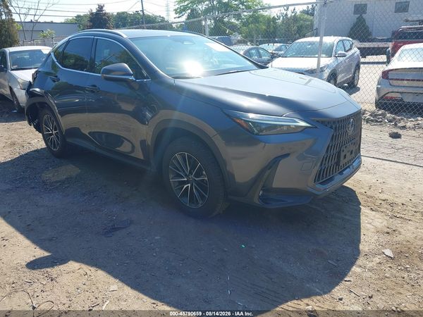 2025 LEXUS NX 350 PREMIUM