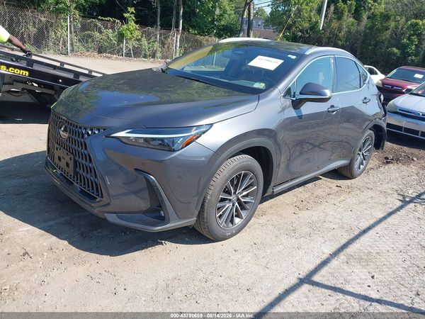 2025 LEXUS NX 350 PREMIUM