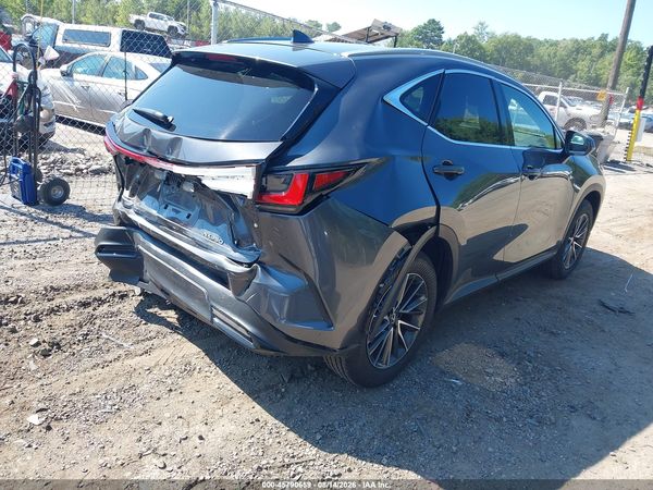 2025 LEXUS NX 350