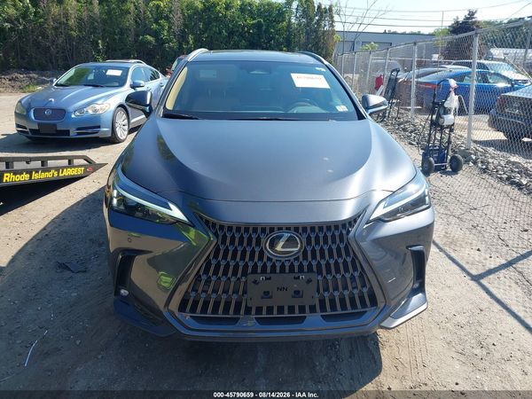 2025 LEXUS NX 350 PREMIUM