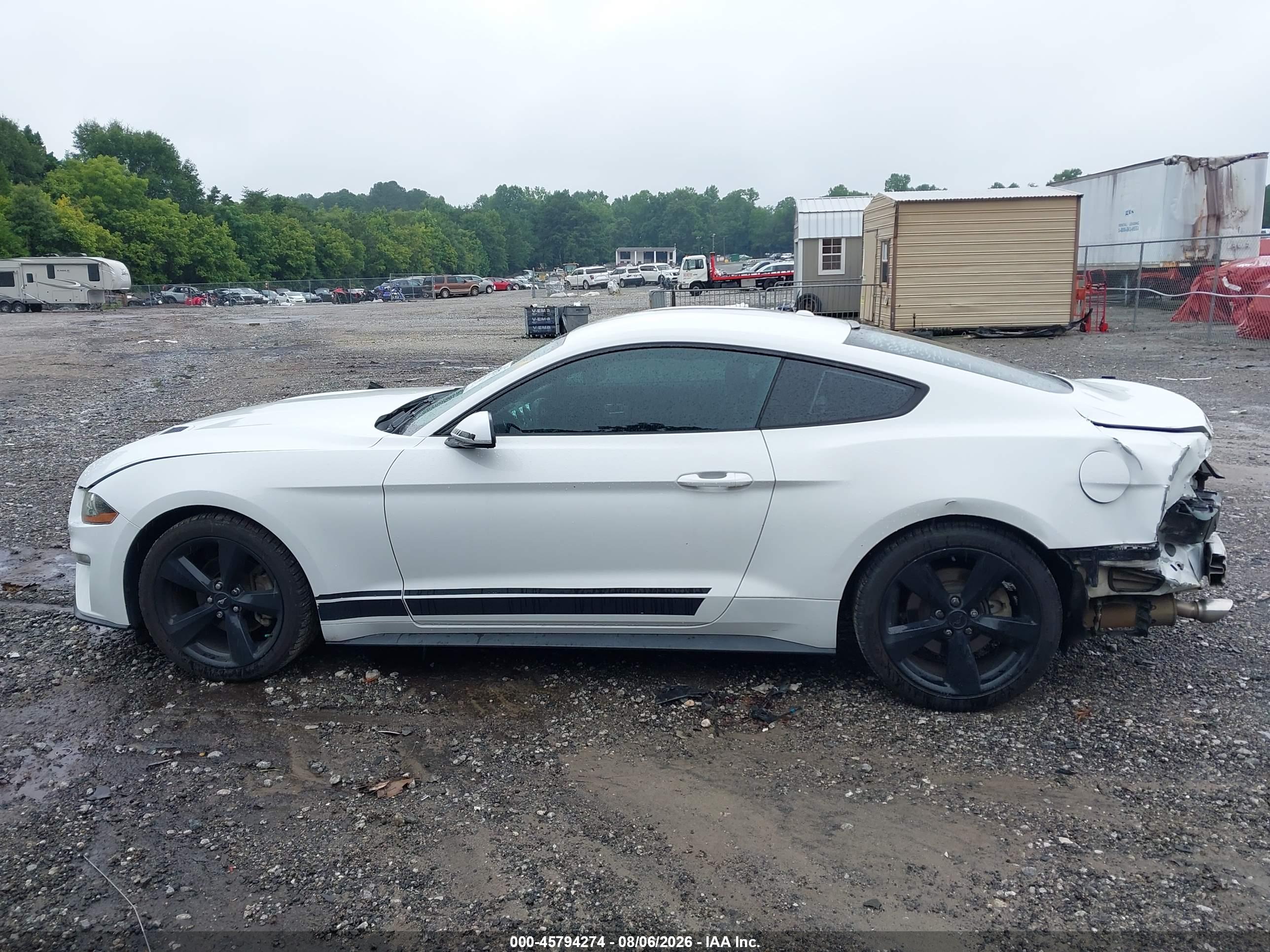 2019 FORD MUSTANG ECOBOOST