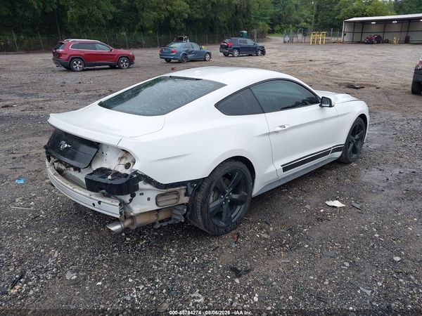 2019 FORD MUSTANG ECOBOOST