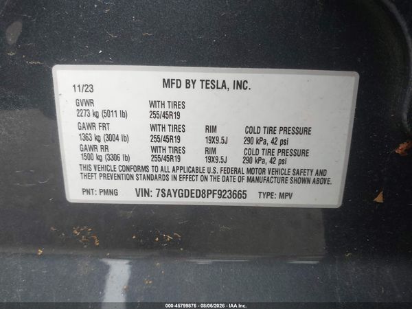 2023 TESLA MODEL Y RWD