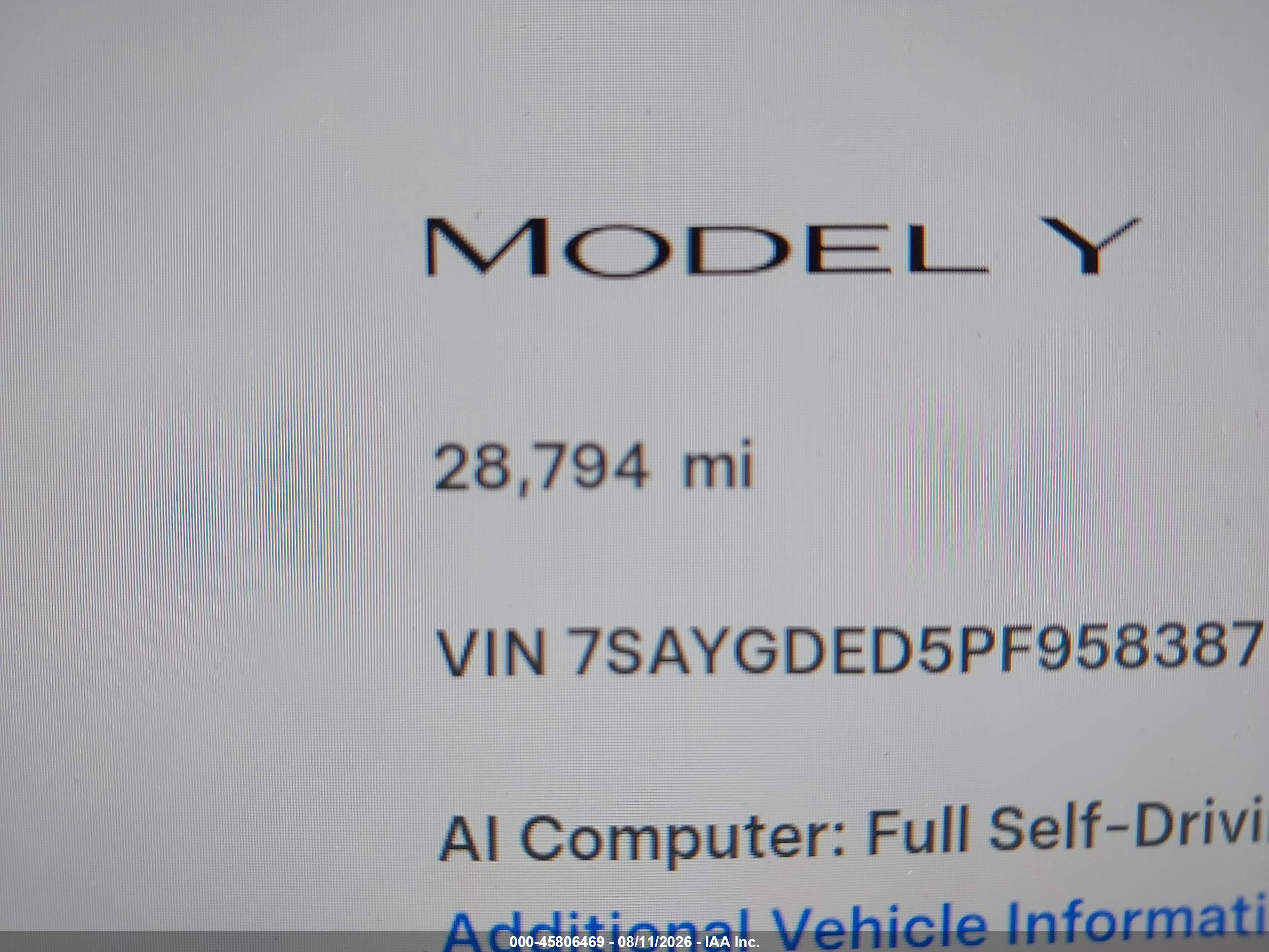 2023 TESLA MODEL Y RWD
