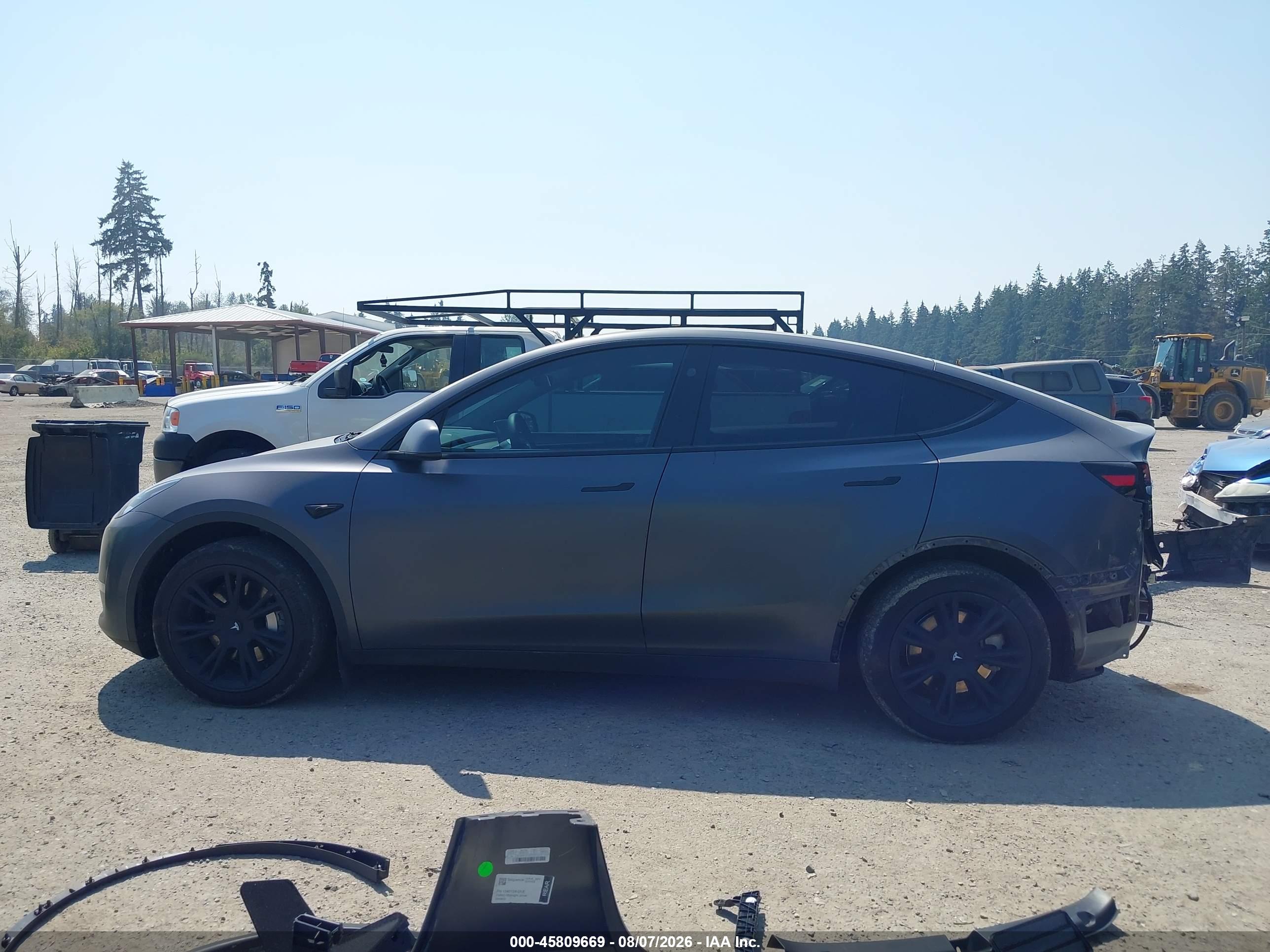 2023 TESLA MODEL Y RWD