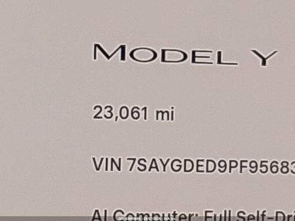 2023 TESLA MODEL Y RWD