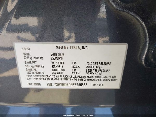 2023 TESLA MODEL Y RWD