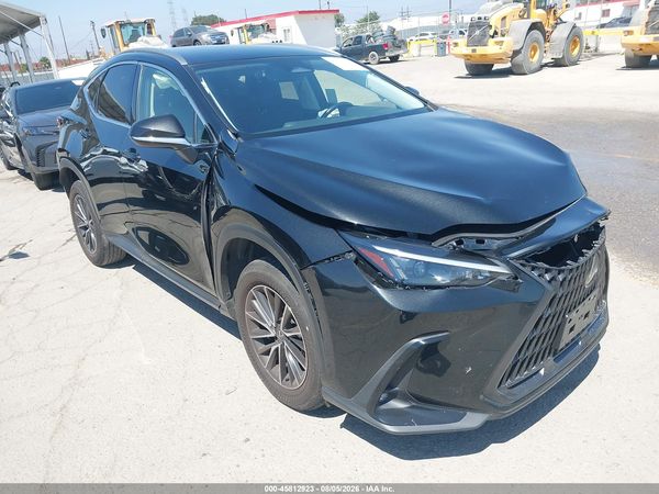 2024 LEXUS NX 250 250 Base