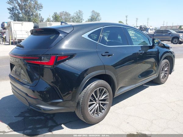 2024 LEXUS NX 250 250 Base