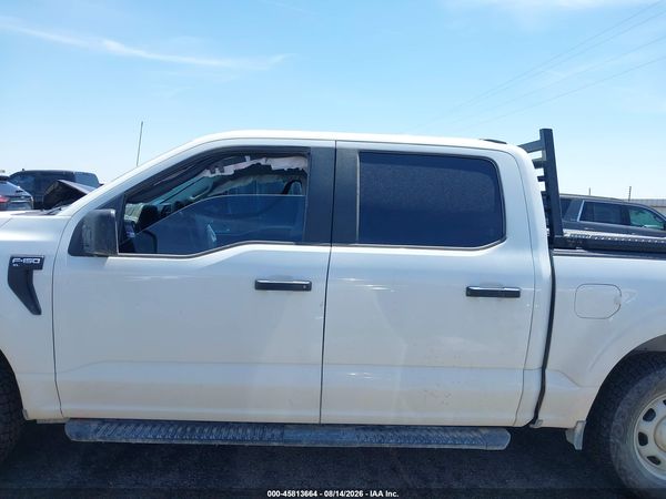 2024 FORD F-150 XL